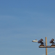 Automated license plate reader (ALPR/LPR) cameras scan license plates of cars crossing into Pensacola Beach, Florida